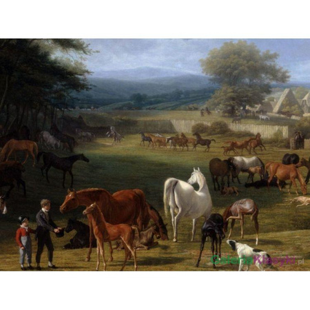 Lord Rivers's Stud Farm, Stratfield Say - Jacques-Laurent Agasse