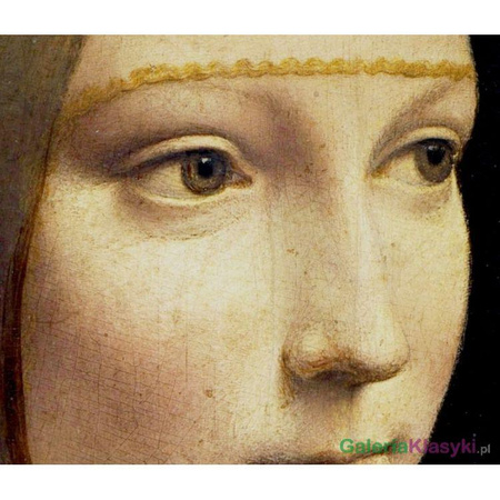 Dama z gronostajem - Leonardo da Vinci