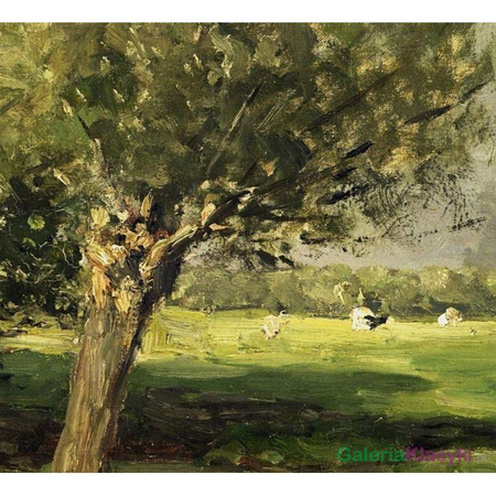 "Wierzby" - Willem Roelofs