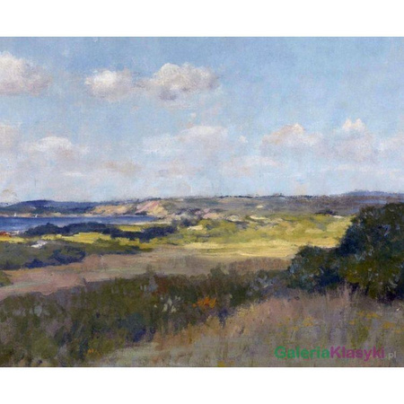 Światło i cień w Shinnecock Hills - William Chase