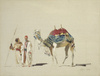 Biały wielbłąd sułtański, szkic - Stanisław Chlebowski
