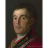 "Książę Wellington" - Francisco Goya