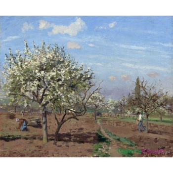 "Kwitnący sad, Louveciennes" - Camille Pissarro