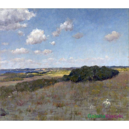 Światło i cień w Shinnecock Hills - William Chase