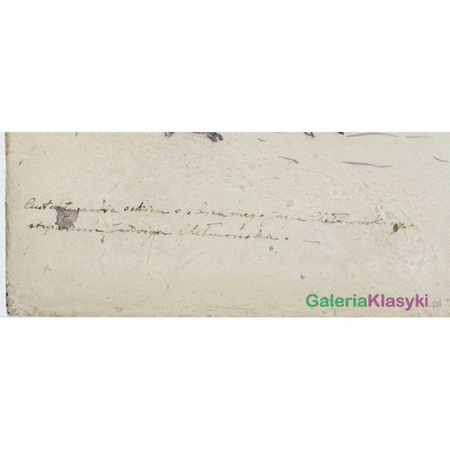 Studium dropia - Józef Chełmoński