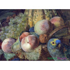 Martwa natura z owocami i papugą - Ferdinand Georg Waldmuller