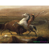 Ostatnie Bizony - Albert Bierstadt
