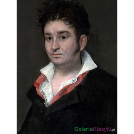 "Ramon Satue" - Francisco Goya