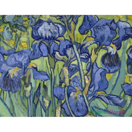 Irysy - Vincent van Gogh