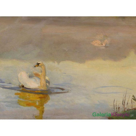Staw w Radziejowicach - Józef Chełmoński