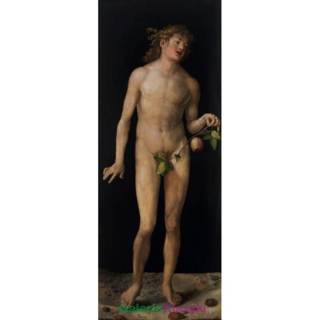 "Adam" - Albrecht Durer