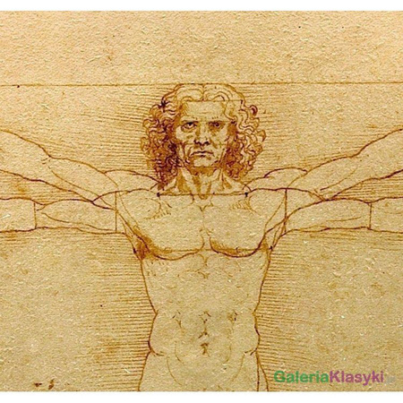 Człowiek witruwiański - Leonardo da Vinci