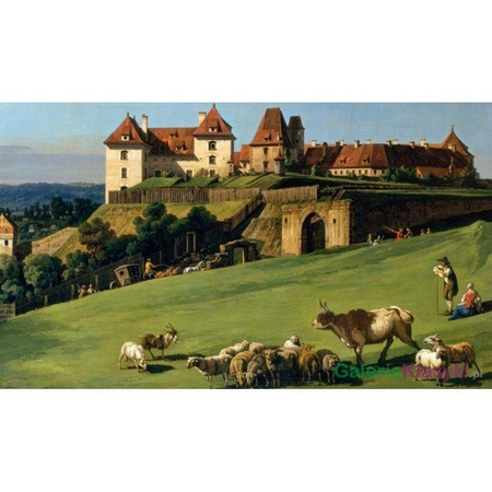 "Widok z zamku w Pirna Sonnenstein" - Bernardo Bellotto