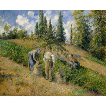 "Żniwa" - Camille Pissarro