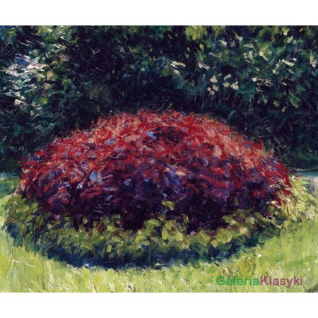 "Kwietnik" - Gustave Caillebotte