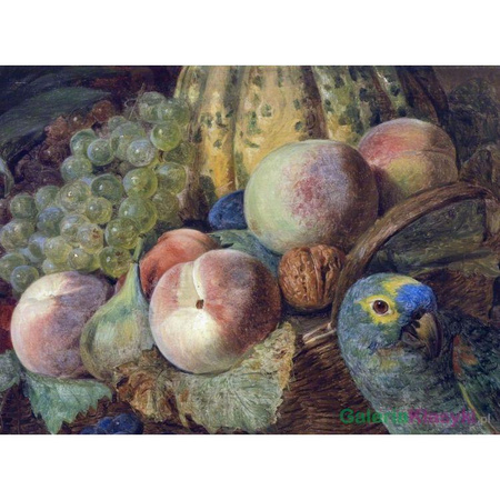 Martwa natura z owocami i papugą - Ferdinand Georg Waldmuller