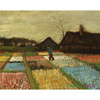 Kwietniki w Holandii - Vincent van Gogh
