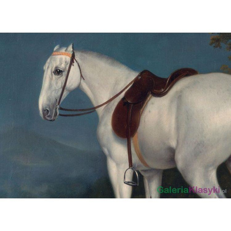 A Lady's Grey Hunter - Jacques-Laurent Agasse