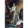 Napoleon I w stroju koronacyjnym - Francois Gerard