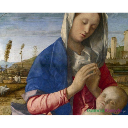 Madonna del Prato - Giovanni Bellini