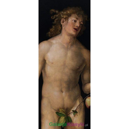 "Adam" - Albrecht Durer