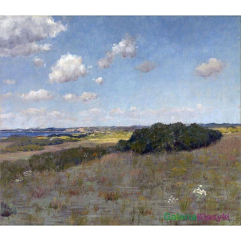 Światło i cień w Shinnecock Hills - William Chase