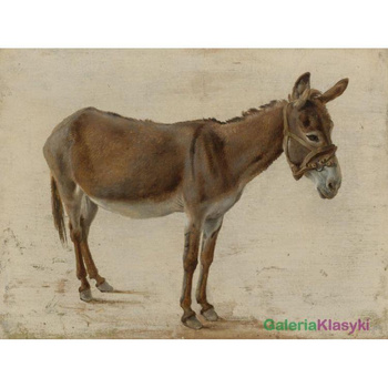 Osioł - Jacques-Laurent Agasse