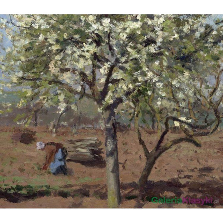 "Kwitnący sad, Louveciennes" - Camille Pissarro
