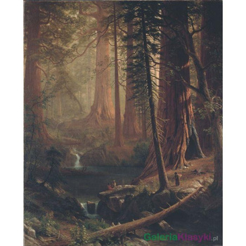 Giant Redwood Trees of California - Albert Bierstadt