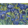 Irysy - Vincent van Gogh