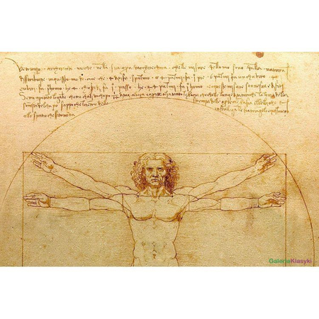 Człowiek witruwiański - Leonardo da Vinci