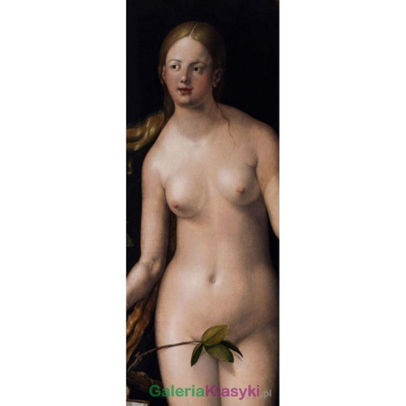 "Ewa" - Albrecht Durer