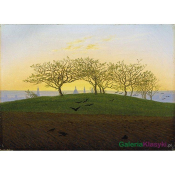 Wzgórze i pole w pobliżu Drezna - Caspar David Friedrich