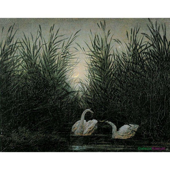 Łabędzie wśród sitowia - Caspar David Friedrich