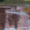 "Spokojny staw" - Gustav Klimt
