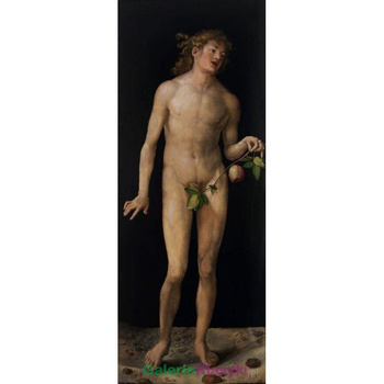 "Adam" - Albrecht Durer