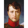 Napoleon Bonaparte - Francois Gerard