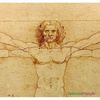 Człowiek witruwiański - Leonardo da Vinci
