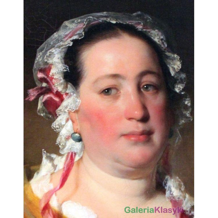 Portret pani Plach - Friedrich von Amerling