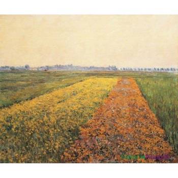 Żółte pola w Gennevilliers - Gustave Caillebotte