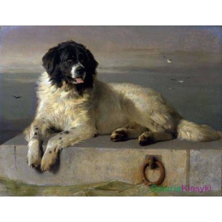"A Distinguished Member of the Humane Society" - Edwin Landseer