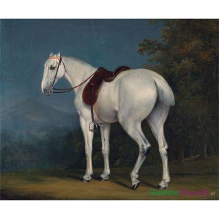 A Lady's Grey Hunter - Jacques-Laurent Agasse