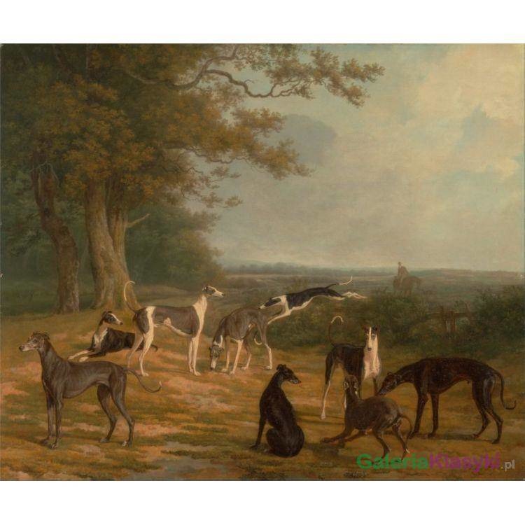 Krajobraz z dziewięcioma chartami - Jacques-Laurent Agasse