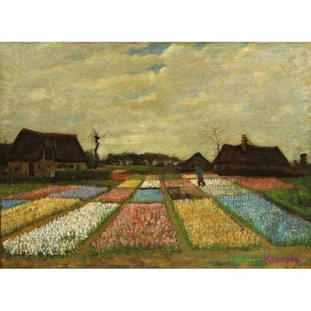 Kwietniki w Holandii - Vincent van Gogh