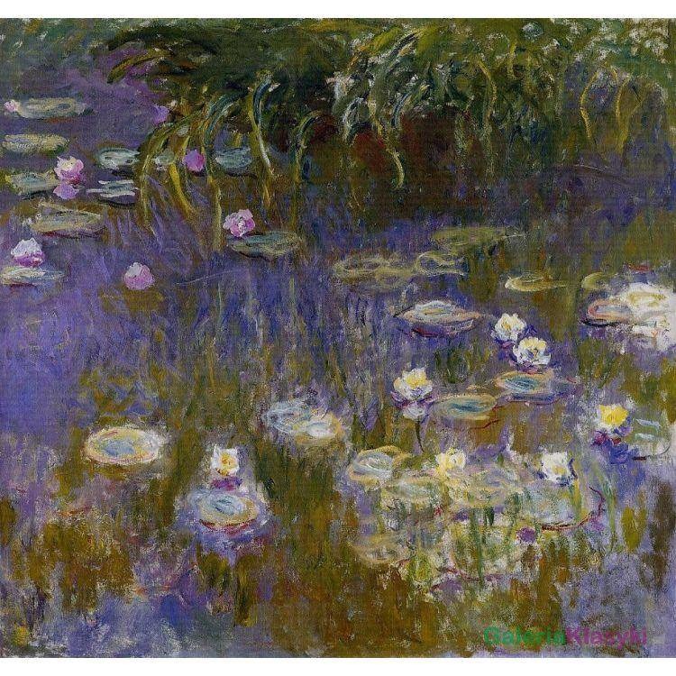 Lilie wodne - Claude Monet
