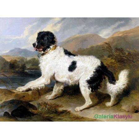 "Nowofunland" - Edwin Landseer