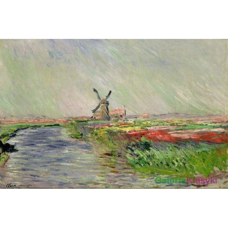 Pola tulipanów w Holandii - Claude Monet