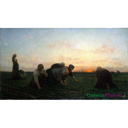 Reprodukcja obrazu: Pielenie - Jules Breton