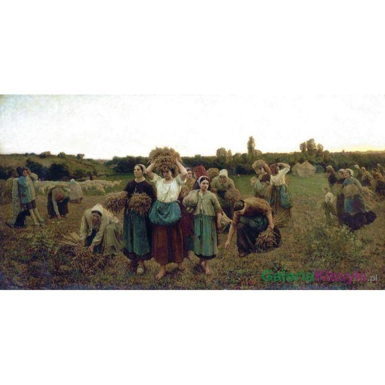 Reprodukcja obrazu: Przywoływanie żniwiarzy - Jules Breton