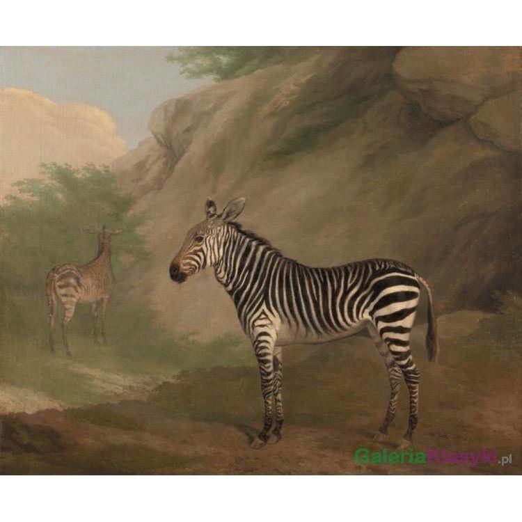 Zebra - Jacques-Laurent Agasse